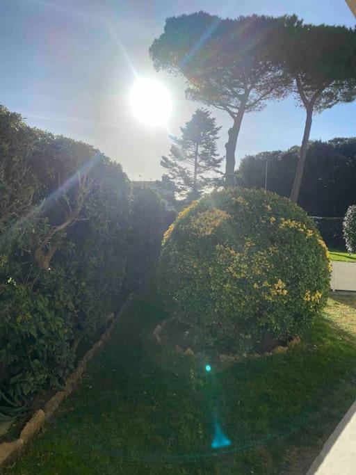 Casa Vento Marino Leilighet Livorno Eksteriør bilde